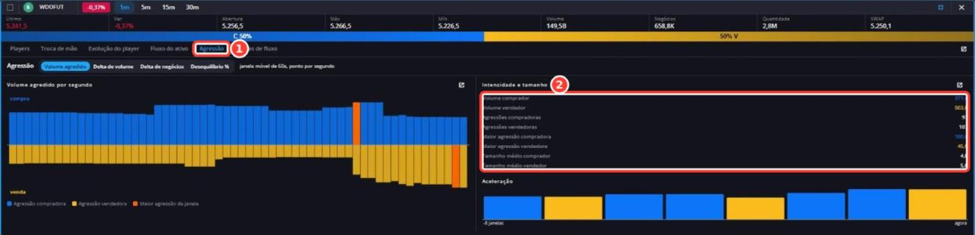 Tela: Painel de Fluxo - Agressão