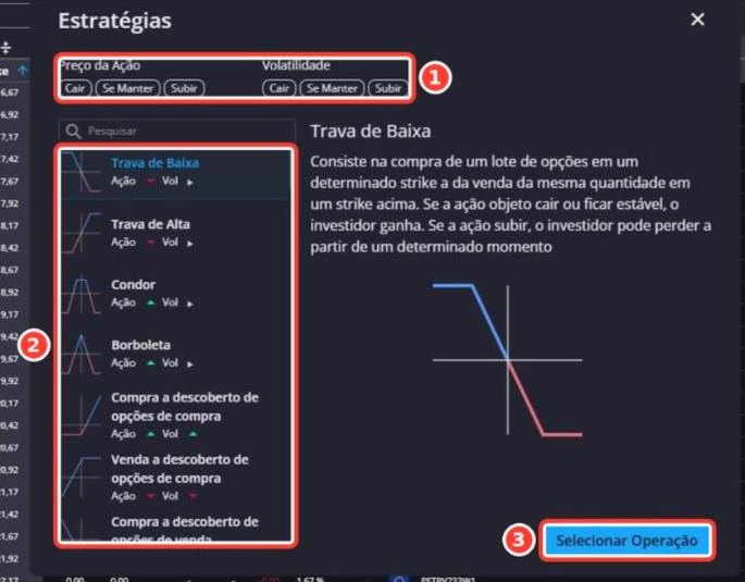 Tela: Opções - Estratégias